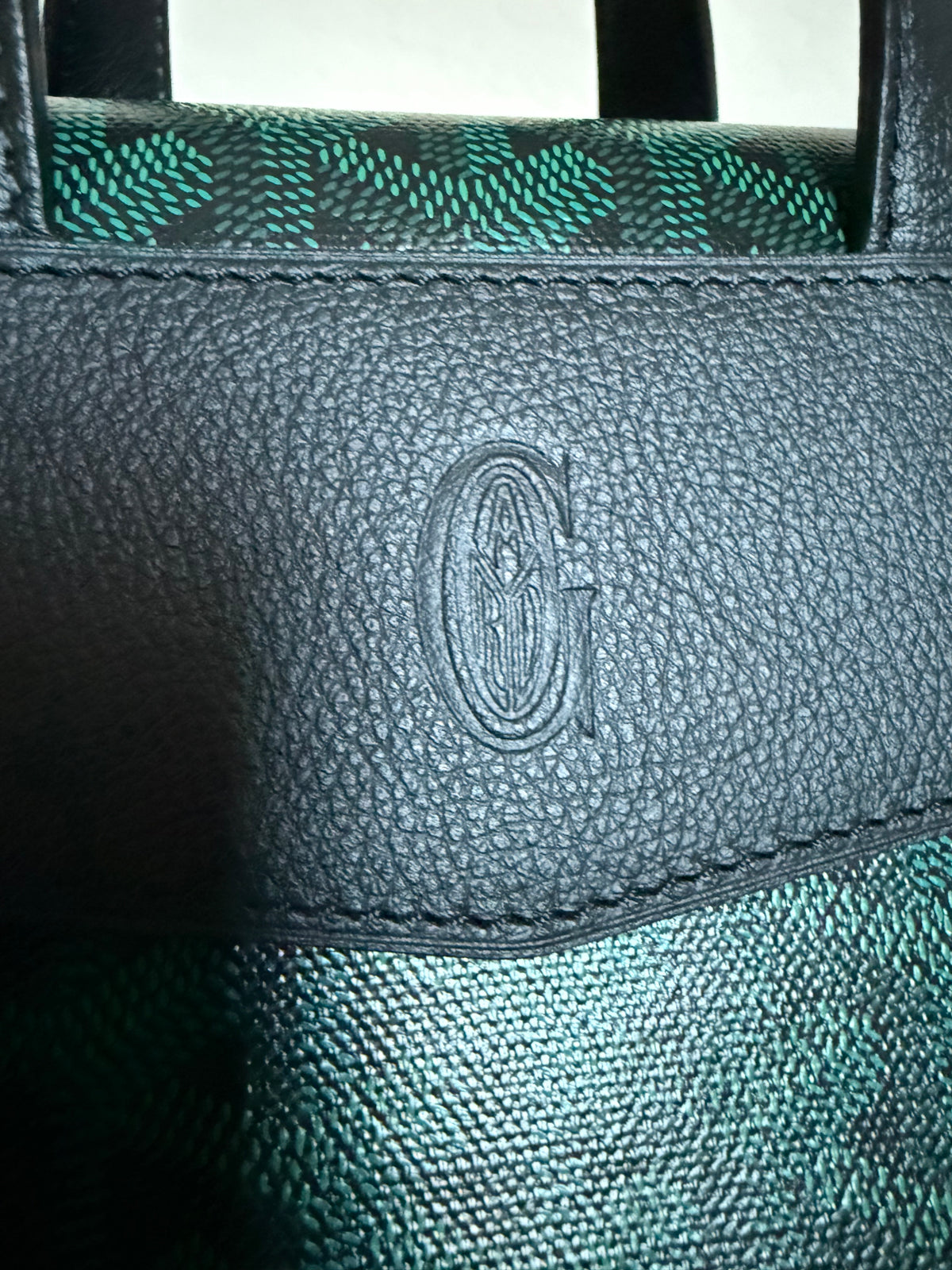 Goyard Cisalpine Evergreen Backpack