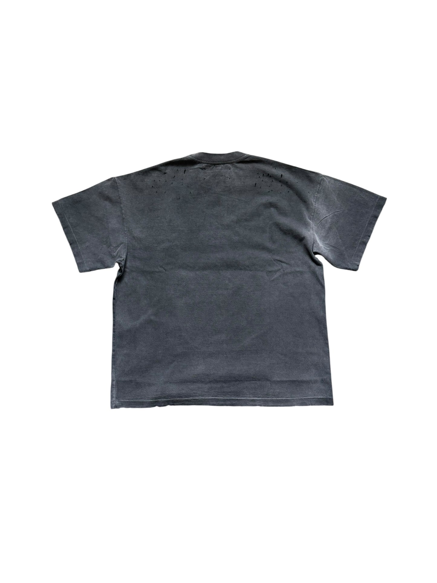 Satoshi Nakamoto No Savior T-Shirt